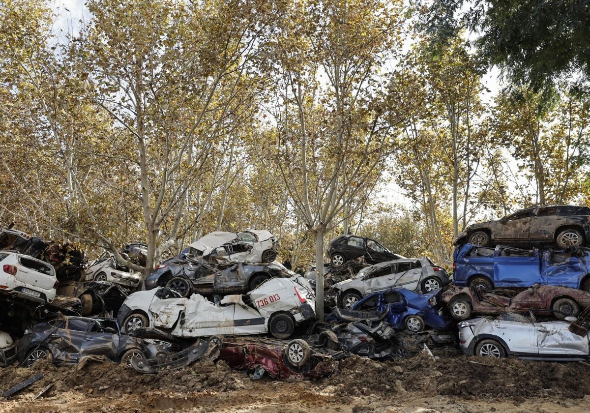 Coches afectados por la DANA