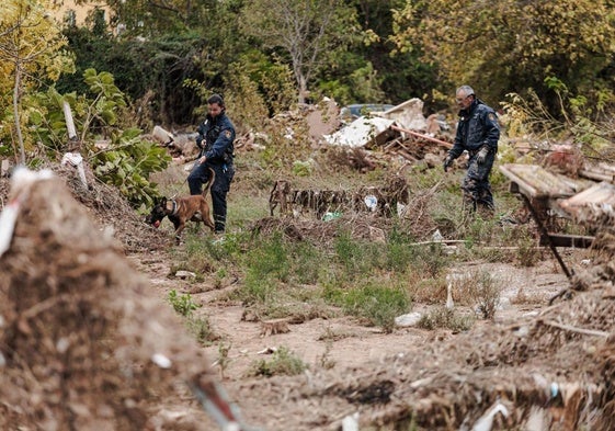 Explotaciones agrarias arrasadas por la DANA en Valencia.