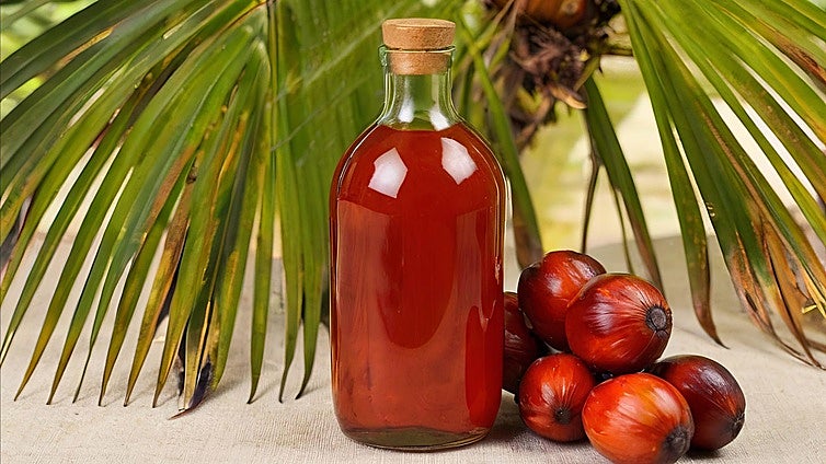 ¿Qué productos contienen aceite de palma?