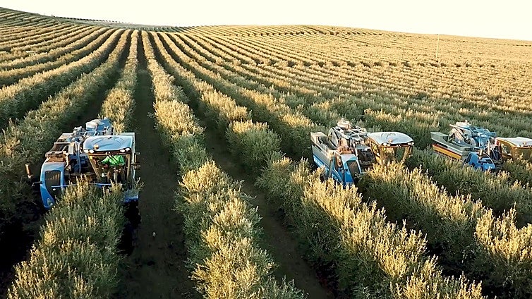 El primer unicornio agro español lanza una calculadora de carbono en tiempo real