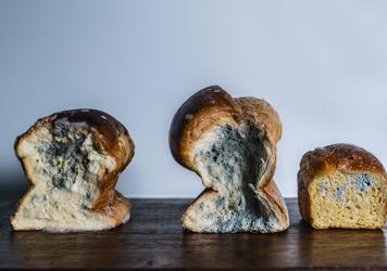 El arte de la fermentación: cuando las bacterias 'cocinan' o por qué este pan es una delicia