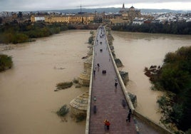 Imagen de la crecida del río Guadalquivir a su paso por el Puente Romano de Córdoba