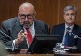 El asesor del Ministerio de Transportes Koldo García en su comparecencia en la comisión del Senado.