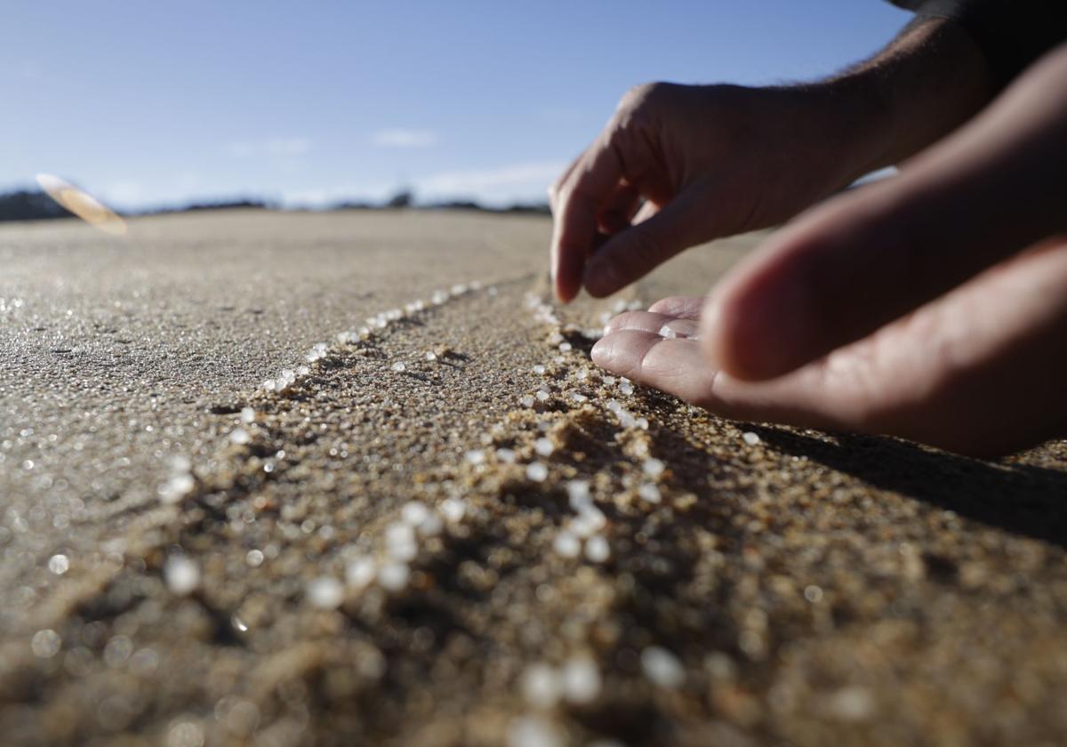 Las playas gallegas, repletas de pélets de plástico.