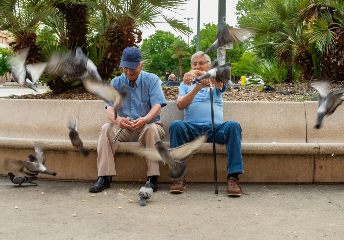 Jubilados dando de comer a las palomas.