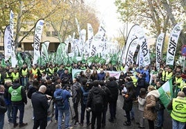 Manifestación de funcionarios en Madrid.