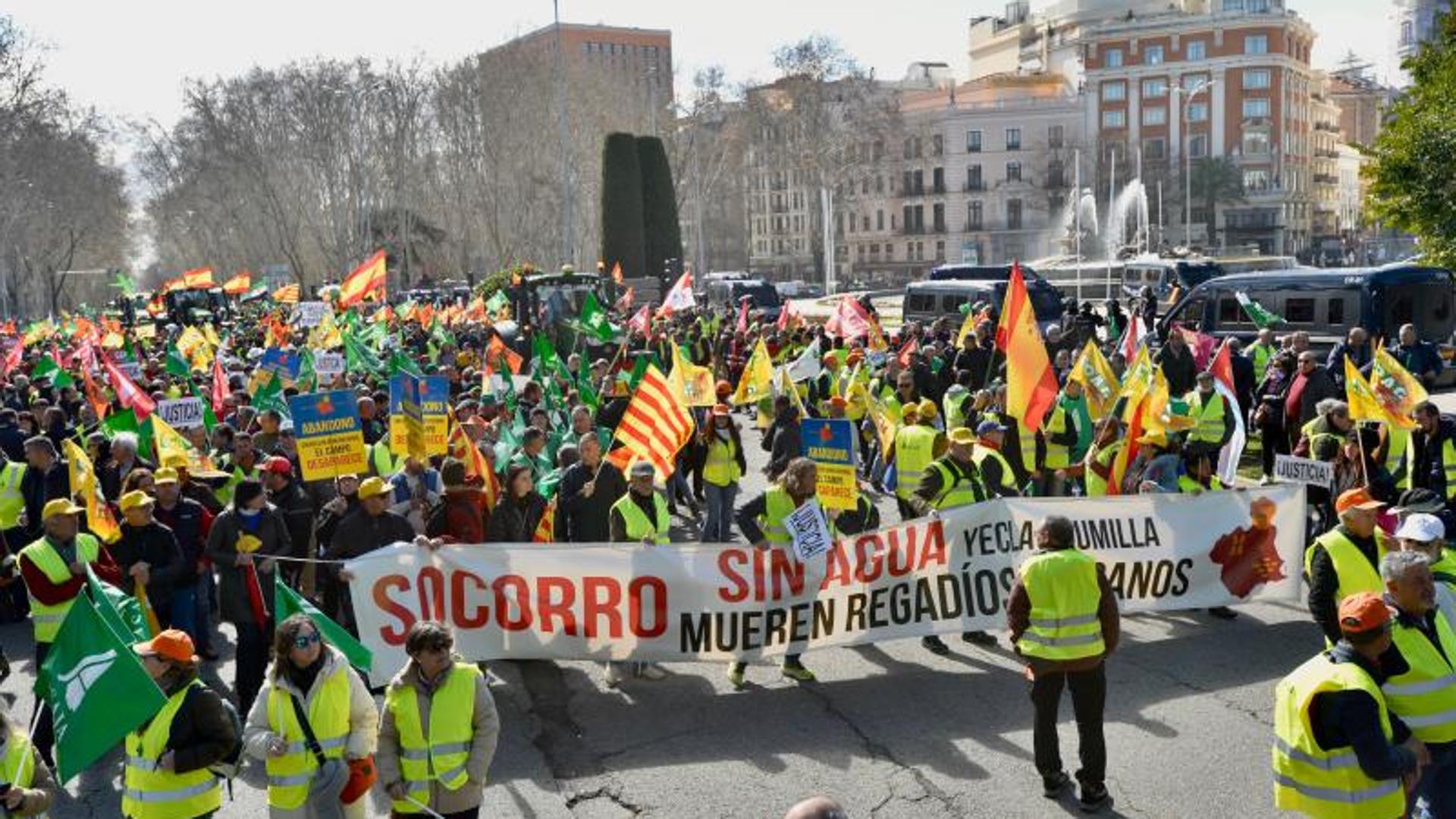 Çiftçiler ve çiftçiler Mercosur ile yapılan anlaşmayı protesto etmek için bu Pazartesi Madrid sokaklarına dönüyor