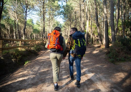 Si te gusta hacer Trekking, aquí tienes todo lo que necesitas