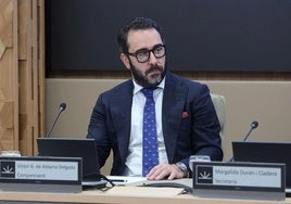 Víctor de Aldama durante su comparecencia en el Parlamento balear el pasado mayo.