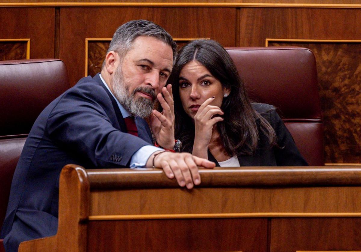 Pepa Millán, portavoz parlamentaria de Vox, y Santiago Abascal en el Congreso