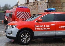 Un vechículo de la Policía Foral.