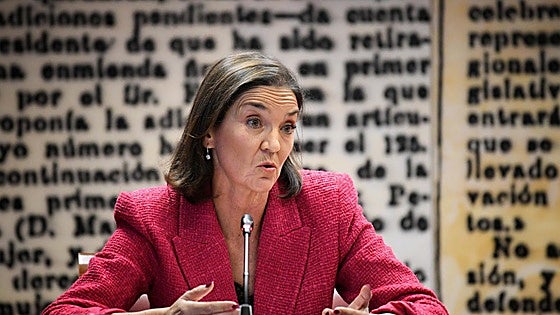 Maroto guarda silencio en el Senado porque el PP la vincula sin pruebas al 'caso hidrocarburos'