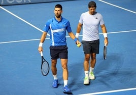 Fernando Verdasco, junto a Novak Djokovic en su último partido como profesional.