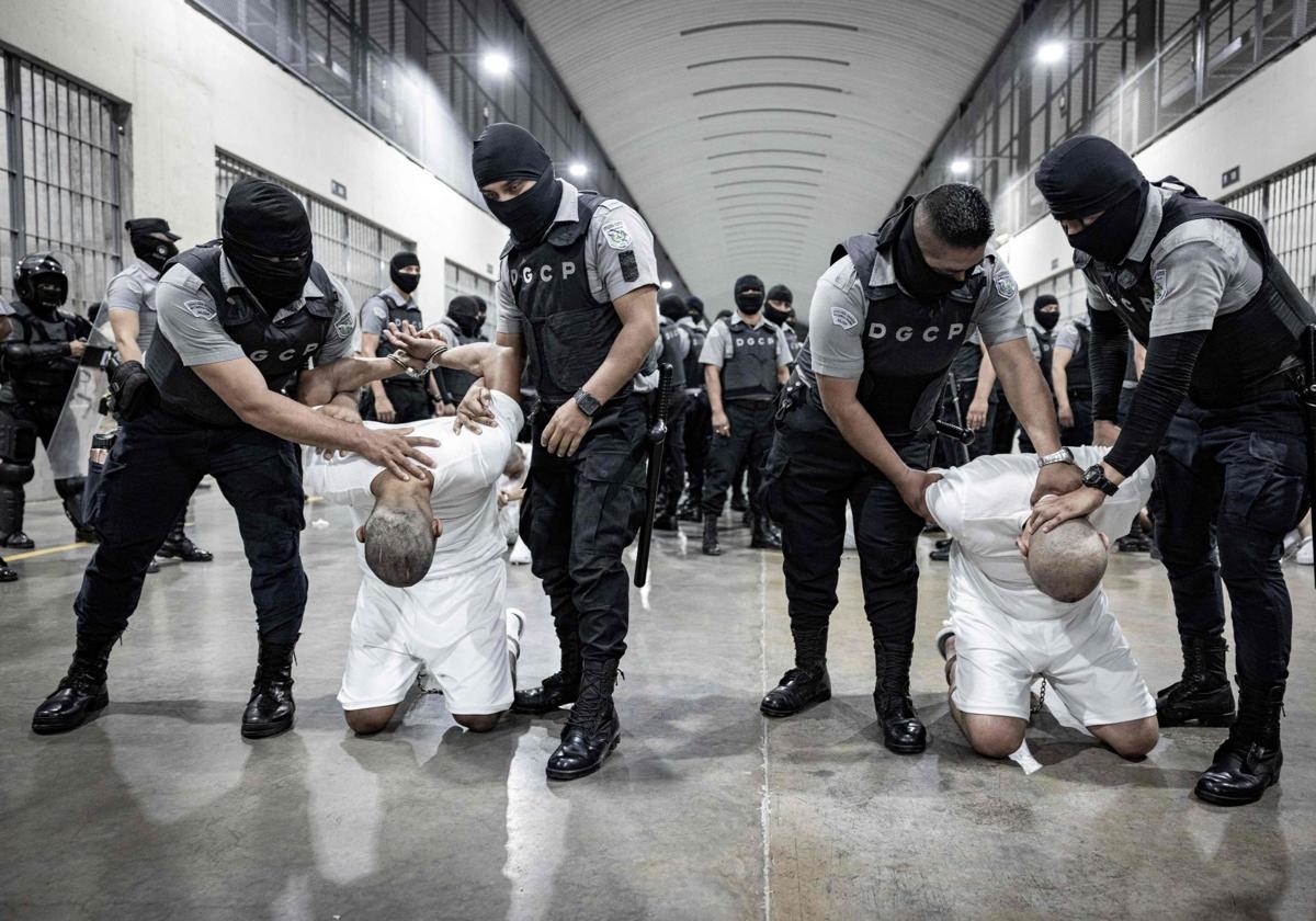 Imagen de Galeria 