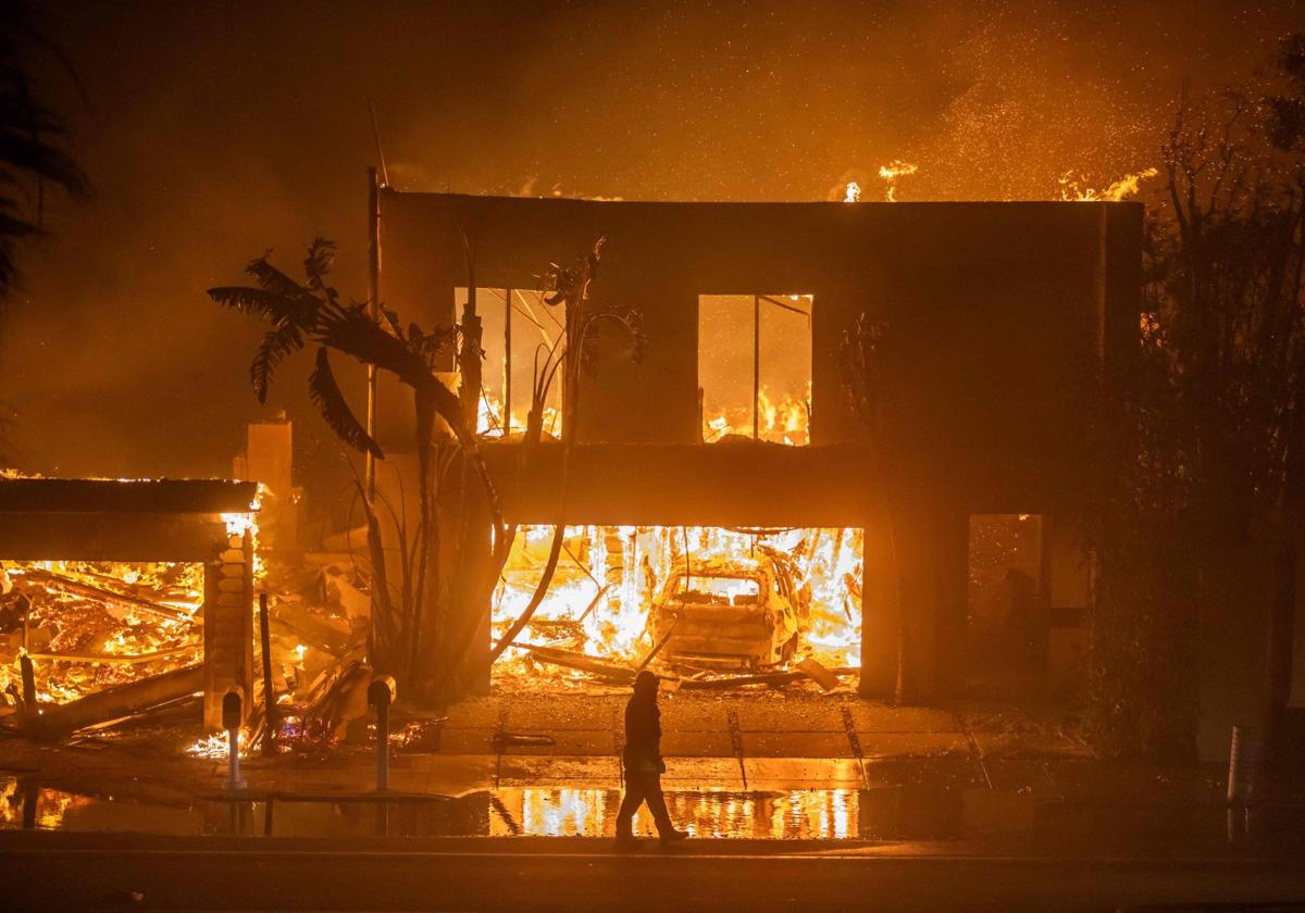 Un tiempo adverso y el vegetación acumulada provocan «incendios imposibles de extinguir»