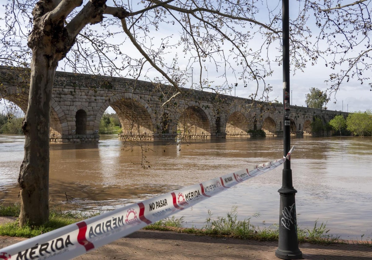 Área precintada junto al río Guadiana a su paso por Mérida.