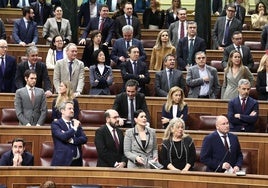El portavoz del PP en el Congreso, Miguel Tellado (1d), durante una sesión plenaria en el Congreso