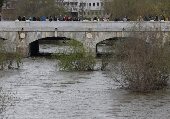 Varias personas observan el caudal del río Manzanares a su paso por Madrid.