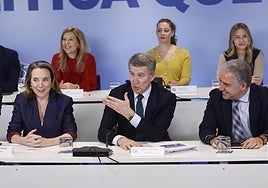 Feijóo interviene en un momento del Comité Ejecutivo Nacional.