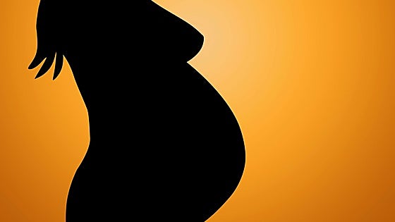 El Supremo impide que se borre el apellido de una madre gestante en el nombre de los hijos