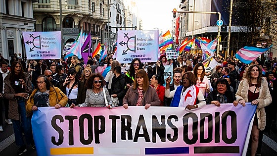 Uno de cada cuatro transexuales españoles han sido agredidos física o sexualmente
