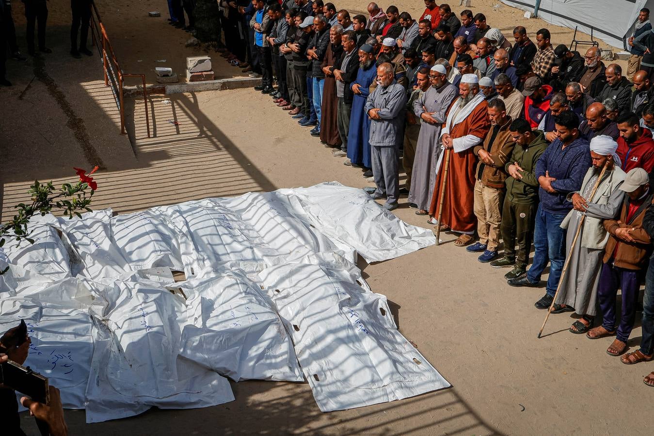 Las imágenes del dolor en Gaza