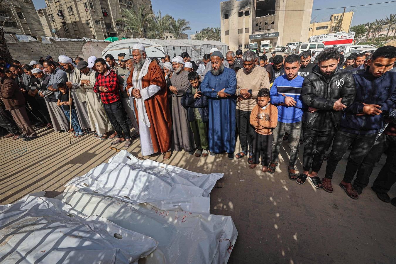 Las imágenes del dolor en Gaza