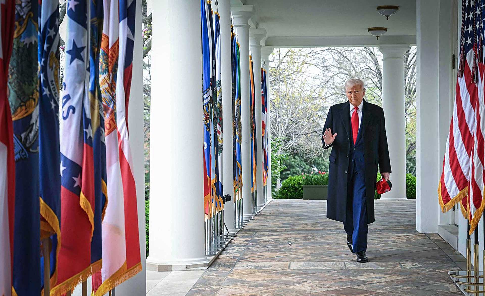 Scroll Story imagen 0