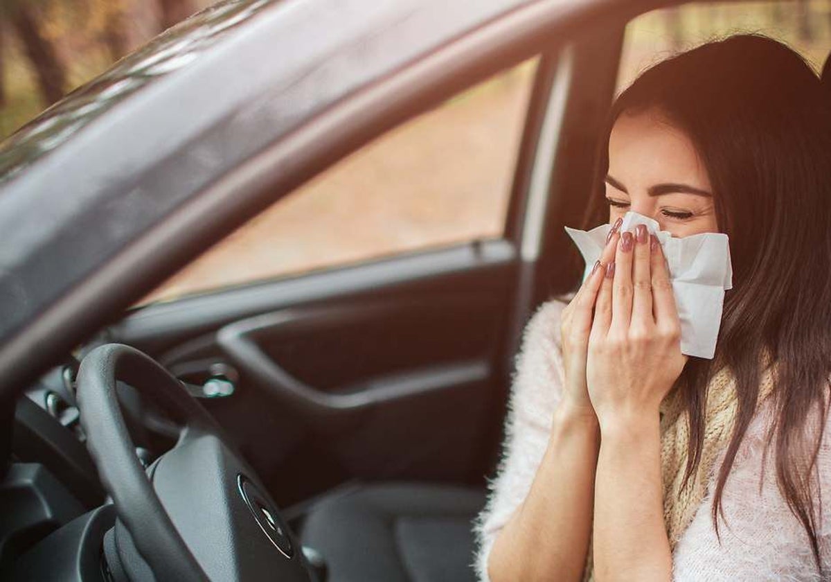 How to Turn Your Car into a Haven Against Spring Allergies