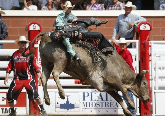 Un jinete sobre un toro, en un campeonato de Alberta (EE UU).