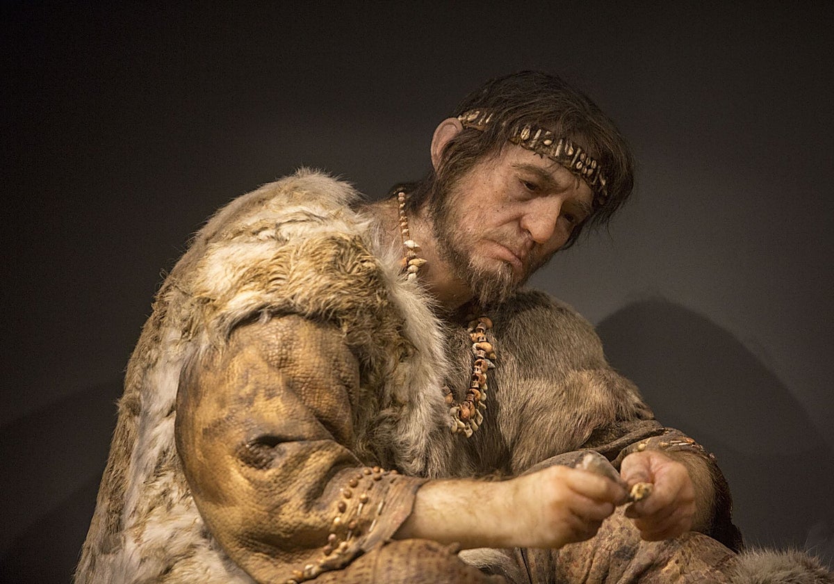 Recreación de un 'Homo sapiens', en el Museo de Prehistoria de Cantabria.
