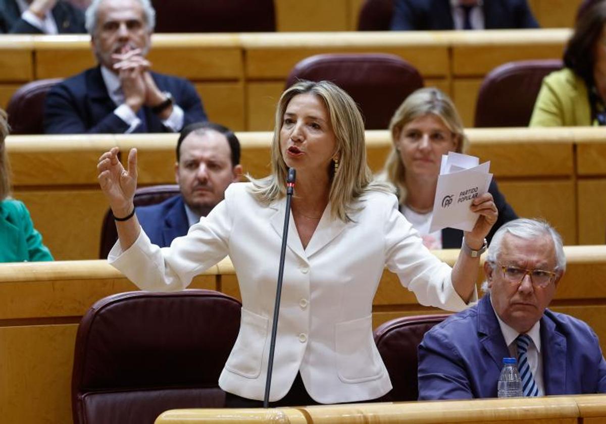 El Senado aprueba la moción del PP para obligar al Gobierno a presentar presupuestos