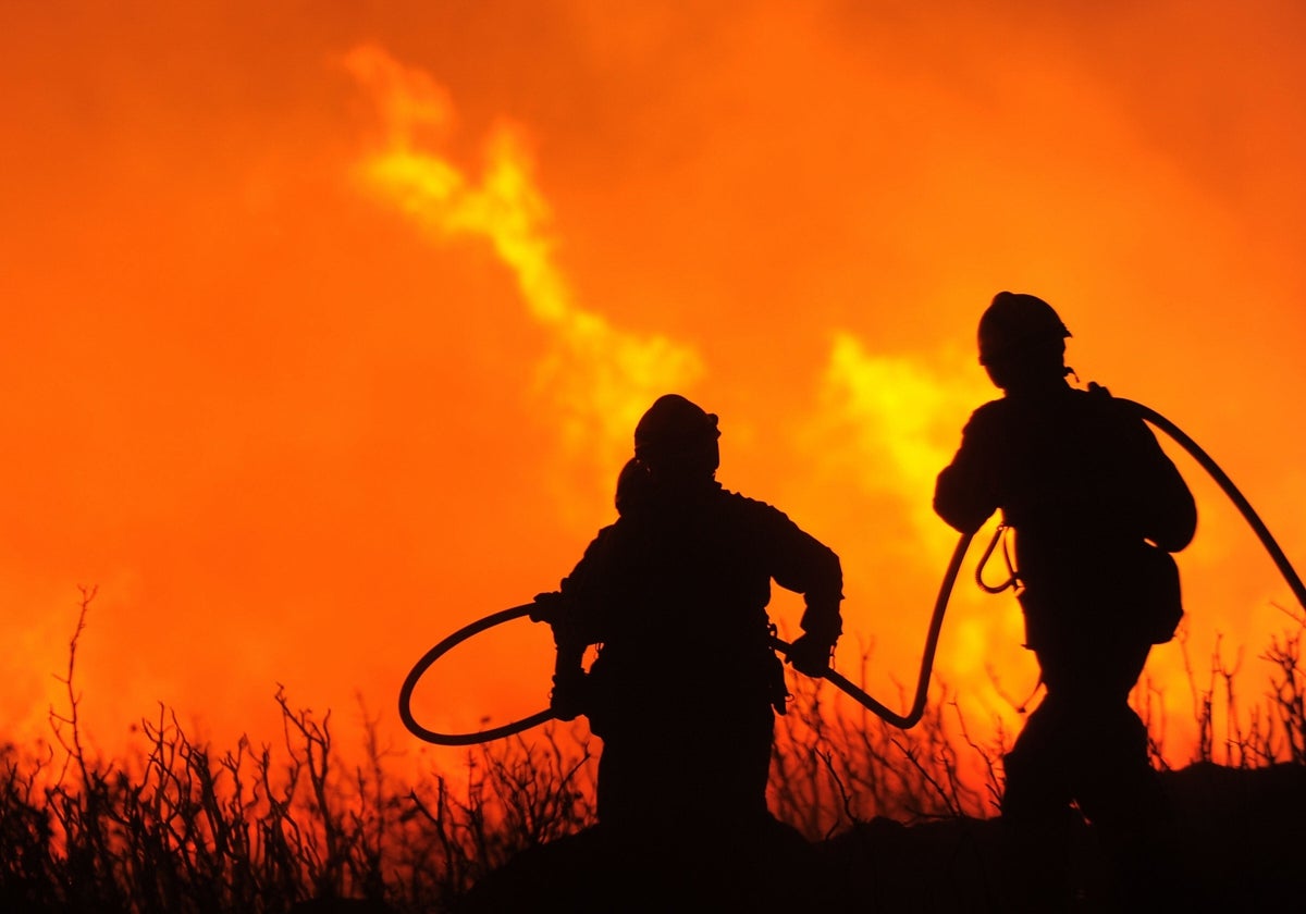 Dos bomberos tratan de frenar un fuego forestal en la provincia de Girona.