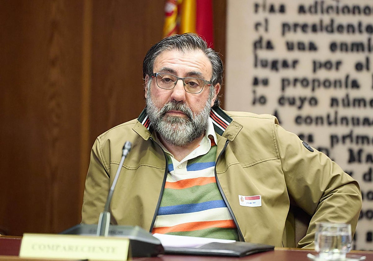 Joseba García durante su comparecencia en el Senado.