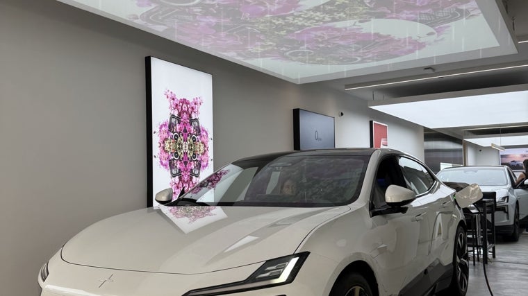 Un inmenso logotipo en forma de ocho anuncia en el escaparate del Space el proyecto 'Florascope'