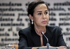 Pardo de Vera durante su comparecencia en la comisión del 'caso Koldo' en el Senado