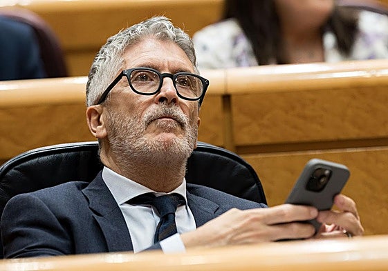 Fernando Grande-Marlaska durante una sesión de control en el Senado.
