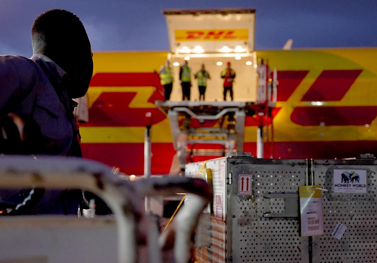 La carga de algunos paquetes de DHL era explosiva.