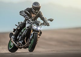Kawasaki Z900 2025