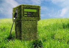 A diferencia de los combustibles fósiles, la biomasa se puede regenerar