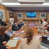 Imagen del Consejo Interterritorial del SNS celebrado esta tarde.