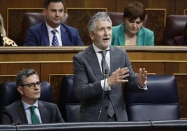 El ministro del Interior, Fernando Grande-Marlaska.