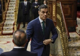 Pedro Sánchez, en el Congreso