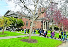 Alumnos, en las instalaciones de Harvard.
