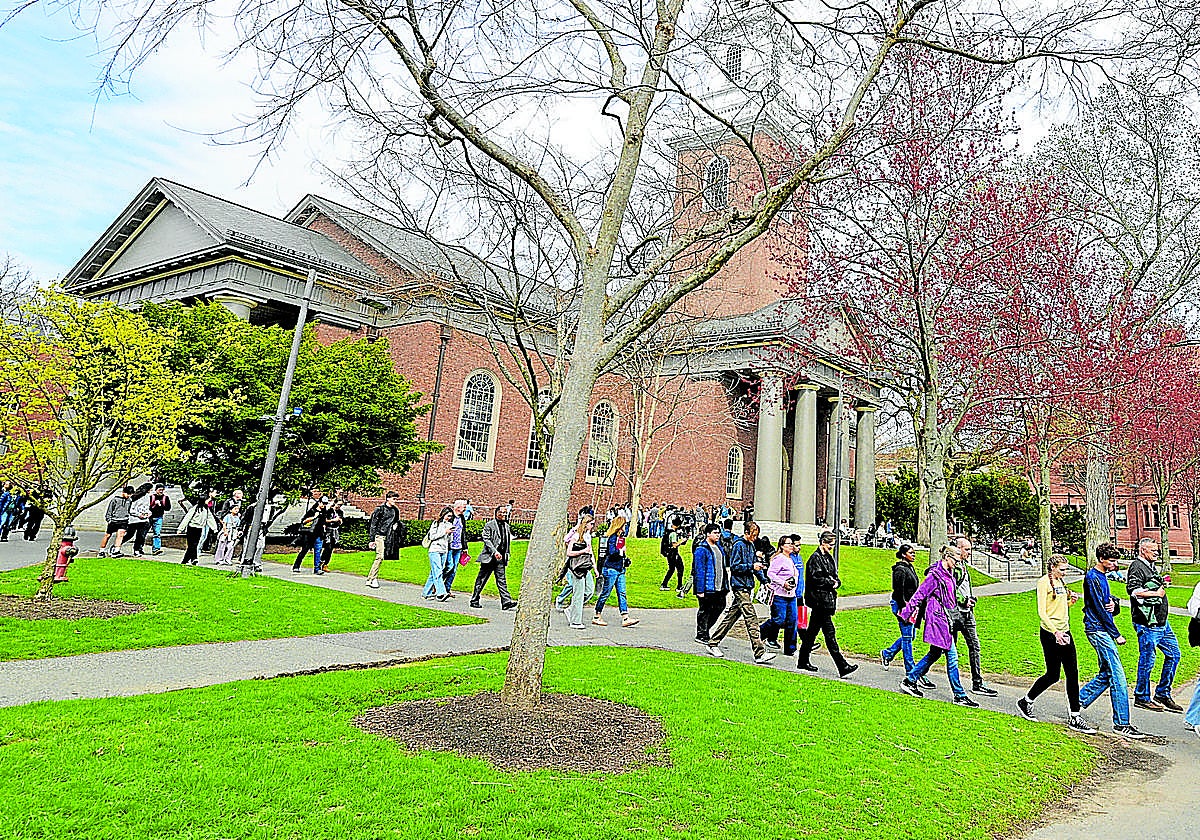 Alumnos, en las instalaciones de Harvard.