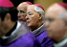 El obispo emérito de Alcalá de Henares Juan Antonio Reig Pla.