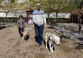Un momento del entrenamiento de dos perros de asistencia.