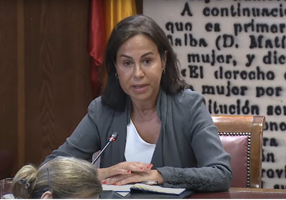 Pardo de vera se niega a declarar en el senado tras su imputación por contratar a jésica | ideal