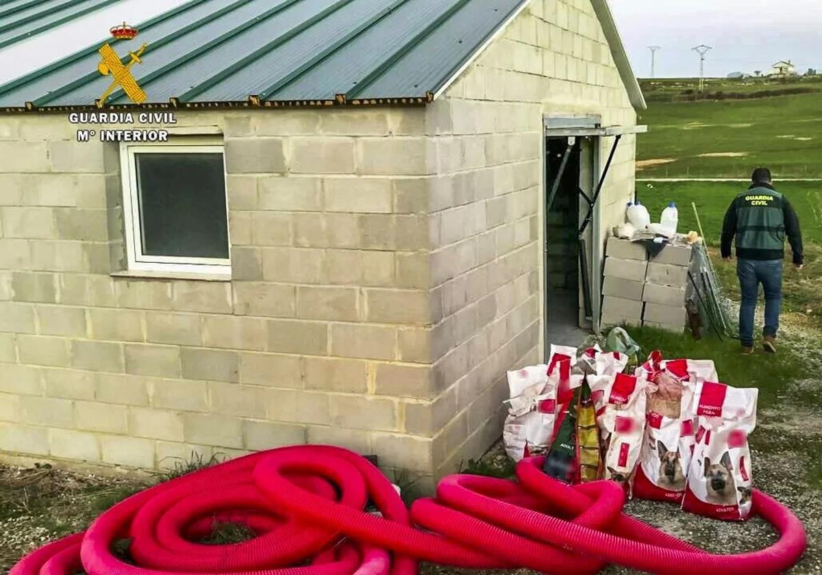Nave en la que aparecieron perros muertos más otros que estaban enterrados.