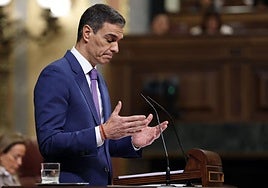 Sánchez durante una comparecencia en el Congreso de los Diputados el pasado mes de Mayo.